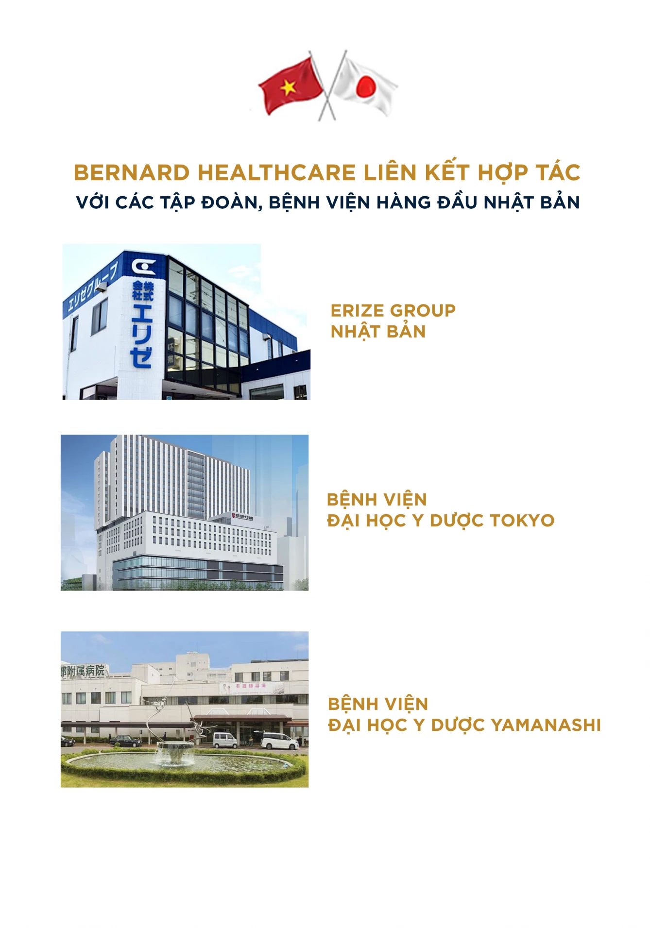 Bernard Healthcare hợp tác quốc tế, liên kết chiến lược với các bệnh viện hàng đầu Nhật Bản