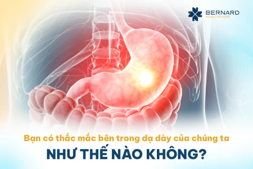 Bạn có thắc mắc bên trong dạ dày của chúng ta như thế nào không?