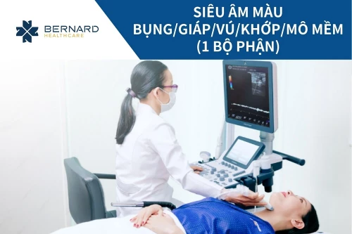 Siêu âm màu 1 bộ phận (bụng, giáp, vú, khớp, mô mềm)