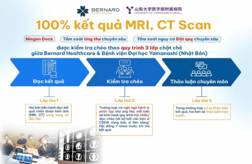 Thông tin dịch vụ tham vấn ý kiến thứ 2 với bác sĩ chuyên gia tại Nhật Bản