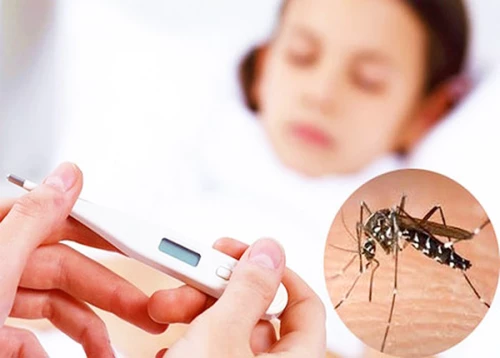 Sở Y tế TP.HCM: Số ca mắc sốt xuất huyết và tay chân miệng có xu hướng giảm, Thành phố tiếp tục chủ động kiểm soát dịch