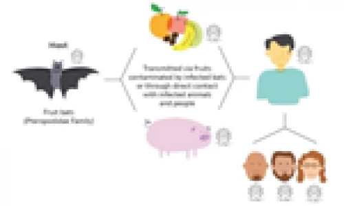Sở Y tế TP.HCM: Tăng cường giám sát, chủ động phòng chống bệnh do virus Nipah