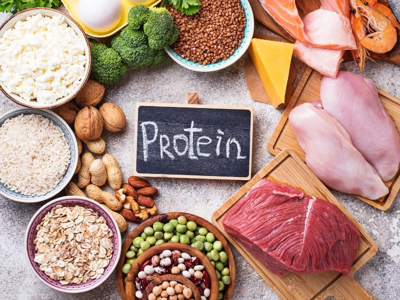 Protein đóng vai trò quan trọng trong việc giúp phục hồi vết thương